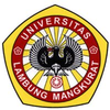 Universitas Lambung Mangkurat