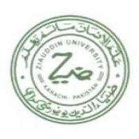 Ziauddin University