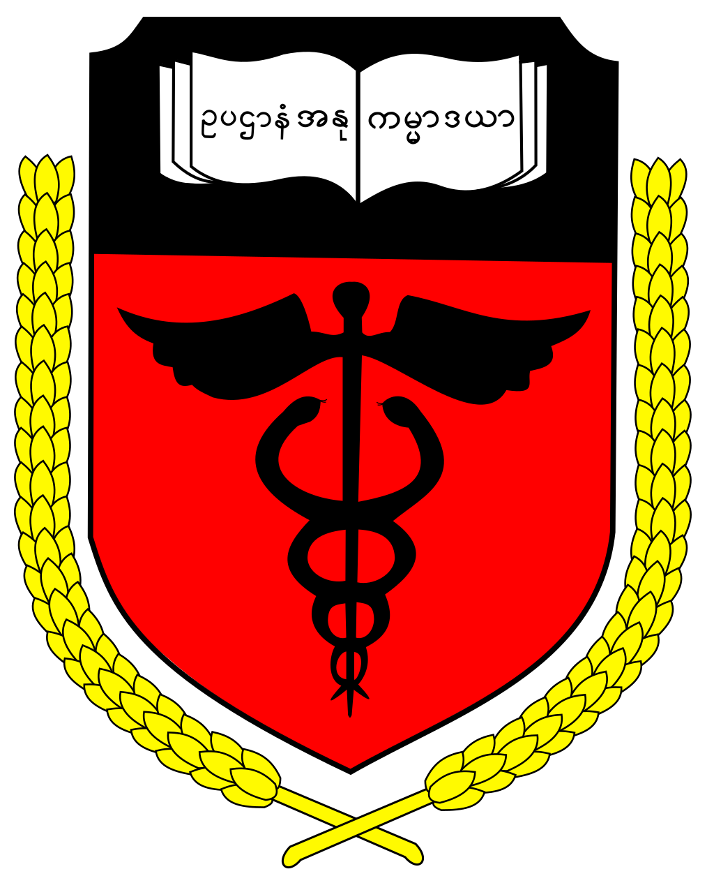 University of Medicine 2 Yangon