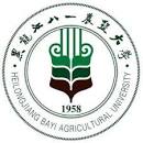 Heilongjiang Bayi Agricultural University