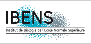 Institut de Biologie de l'Ecole Normale Supérieure