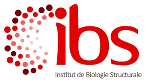 Institut de Biologie Structurale