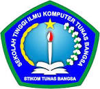 Akademi STIKOM Tunas Bangsa