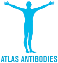 Atlas Antibodies AB