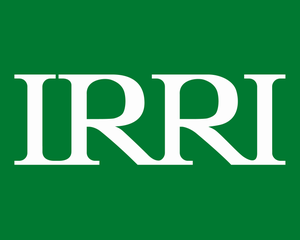 International Rice Research Institute (IRRI)