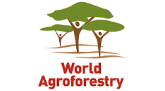 World Agroforestry (ICRAF)