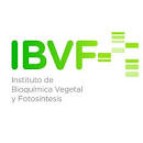 Instituto de Bioquímica Vegetal y Fotosíntesis, CSIC