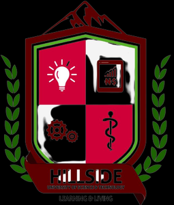 Hillside University of Science and Technology