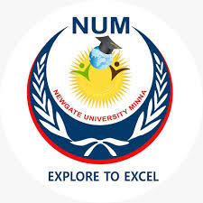 Newgate University, Niger State