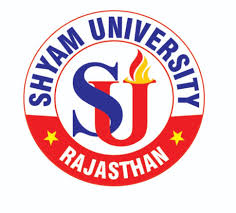 Shyam University