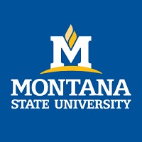 Montana State University