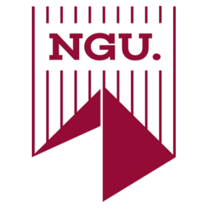 New Giza University