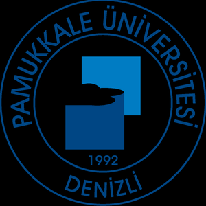 Pamukkale University