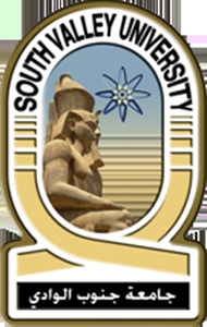 South Valley University