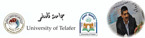 Telafer University