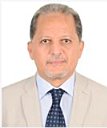 Magdy El-Said Mohamed Gad