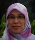 Wan Aini Wan Ibrahim