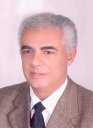 >Tawfik Elmidany