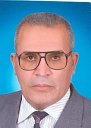 Mamdouh M Hassan