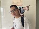 Peng Liu