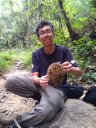 Wei Harn Tan