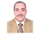 >Mohamed H Haroun