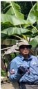 Husni Thamrin