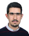 Seyed Erfan Fatemieh