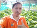 Arif Yachya