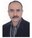 Mostafa H Abdelsalam