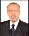 Waleed M. Ismael