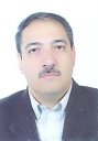 Seyed Reza Hassan Beygi