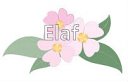 Elaf J Al Taee Picture