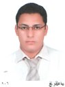 Ayman Mohamed Mostafa