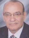 Gamal Eld-Deen Mohamed Nasr Picture