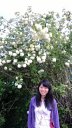Lingran Zhang