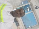 Yapi Elisee Kouakoua