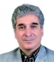 Mehran Solati Hashjin