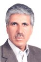 Hossein Arzani