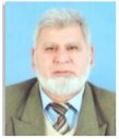 Muhammad Aslam Malik