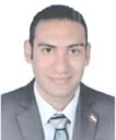 >Walid M. Fahmy