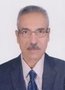 M Abdel Salam