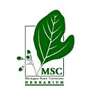 >Msu Herbarium