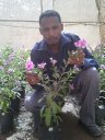 Awad H. Abdelmageed Picture