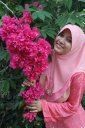 Amelia Wahid Picture