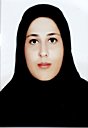 Mehrnoosh Sadat Safi