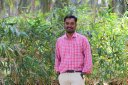Palpandian P
