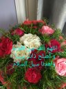 Wafaa Afify Picture