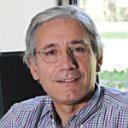 Mauricio Olavarría Gambi Picture