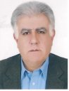 Mohsen Hamidpour Picture